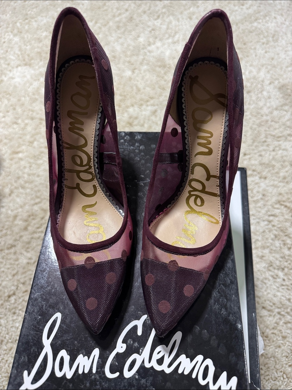 Sam Edelman Burgundy Polka Dot Pointed-Toe Pumps